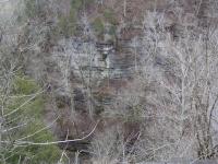 <h2>Wall of Jessamine Gorge
</h2><p>Indian FallsJessamine County, KYMarch 15, 2008.<br></p>