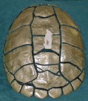 <h2>Turtle Shell Shield
</h2><p>Privately Owned<br></p>